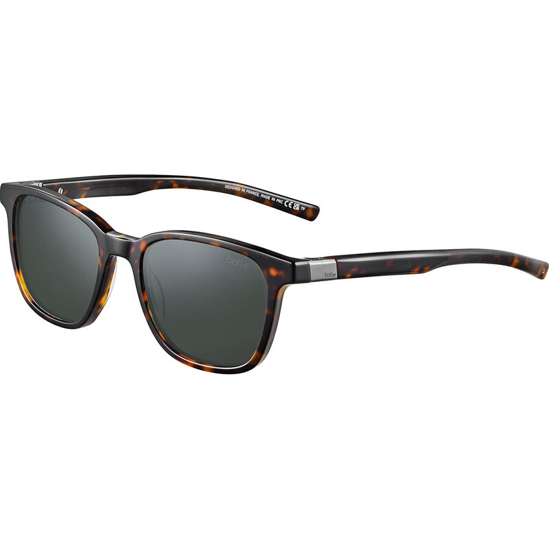 AXIN, Havana Shiny-Axis Polarized, hi-res image number null